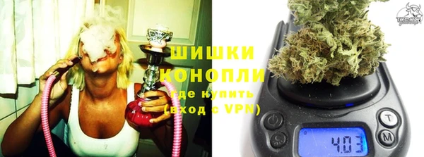 индика Бородино