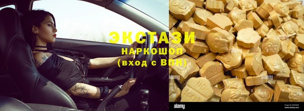 индика Бородино