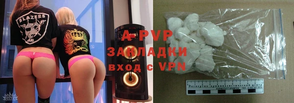индика Бородино
