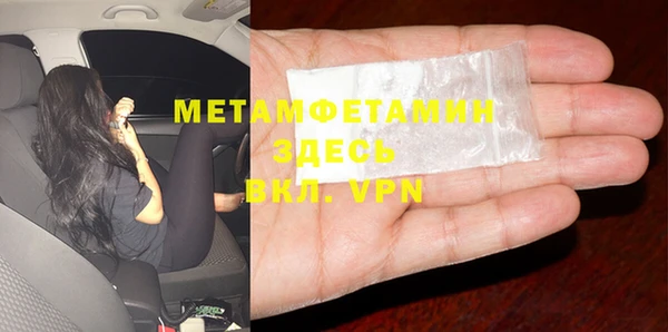 индика Бородино