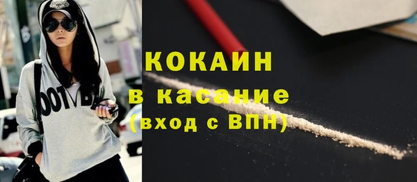 индика Бородино