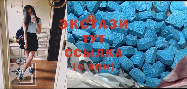 индика Бородино