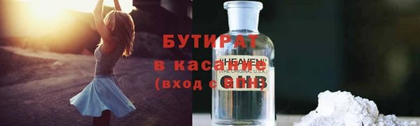 индика Бородино