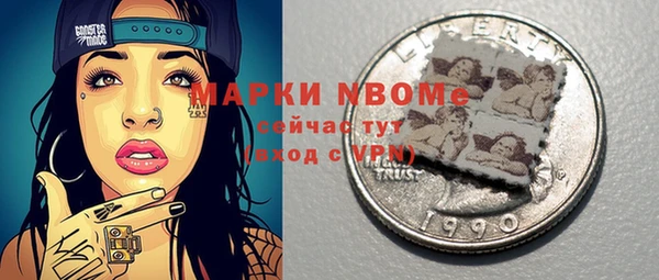 индика Бородино
