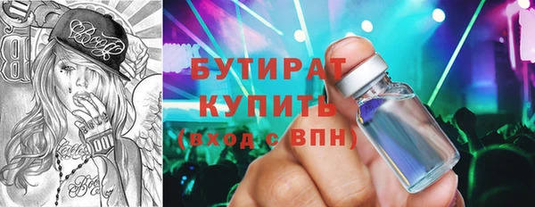 индика Бородино