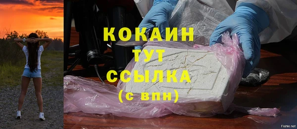 индика Бородино