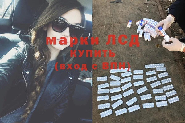индика Бородино