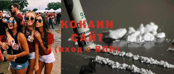 индика Бородино