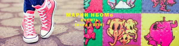 индика Бородино