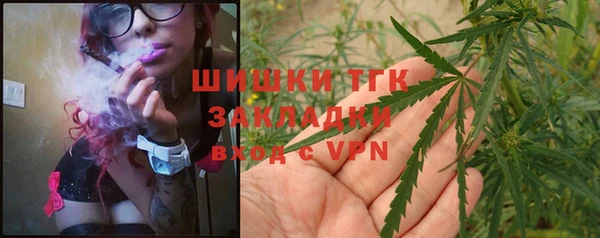 индика Бородино