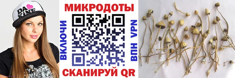даркнет сайт  Верхнеуральск  маркетплейс какой сайт  Галлюциногенные грибы Psilocybine cubensis 